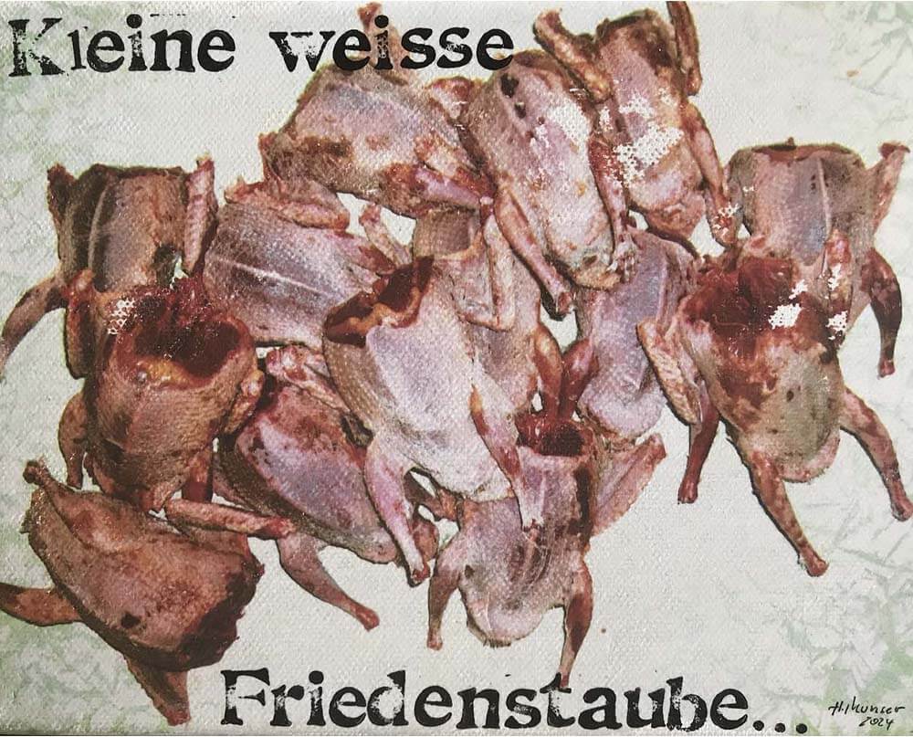 Kleine weisse Friedenstaube